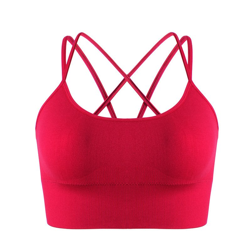 cbc45164-2fbe-4ba3-8af2-17b5dd7af65c.jpg Women's Sports Bra Underwired Tube Top Vest - Image 7